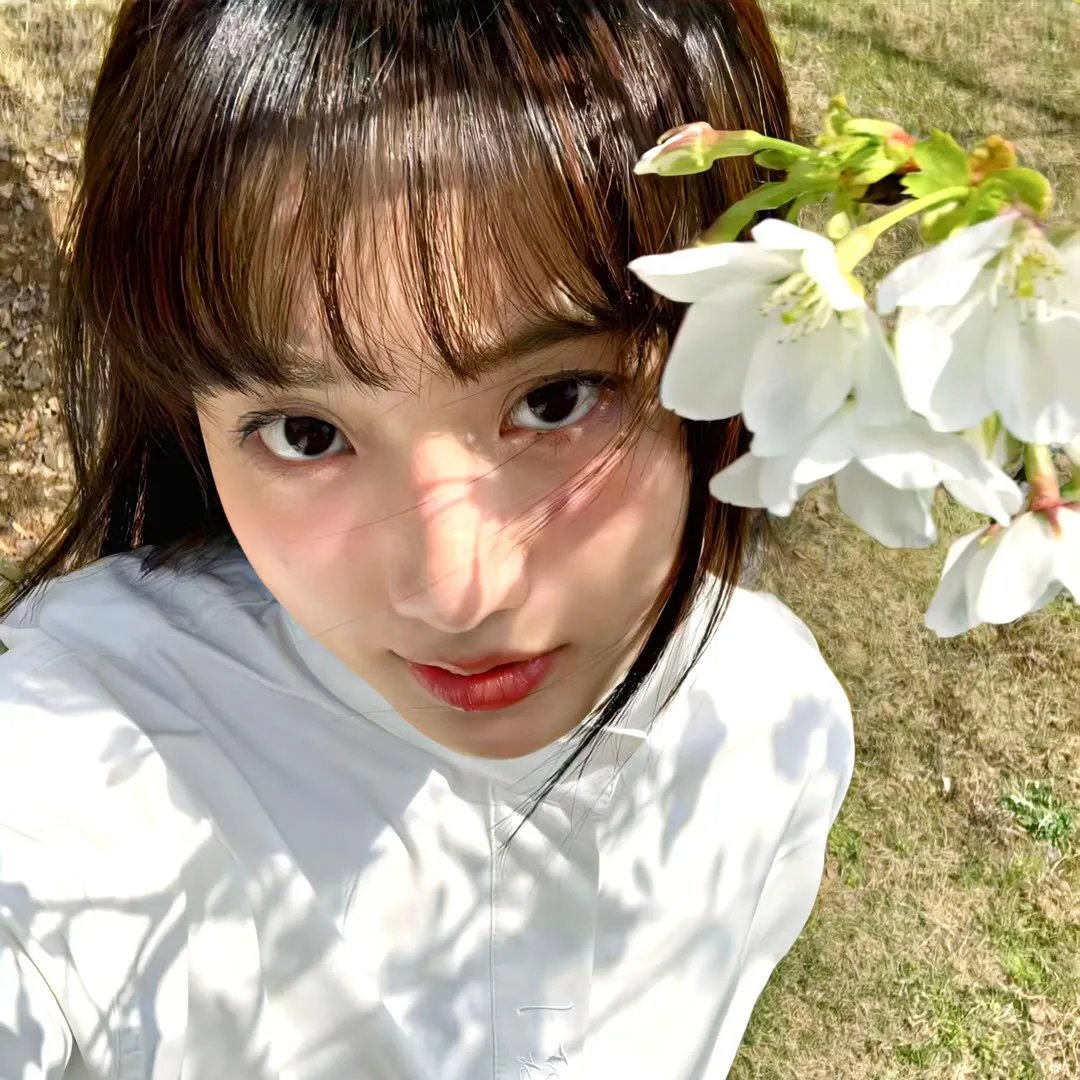 Q版猫和老鼠第二季